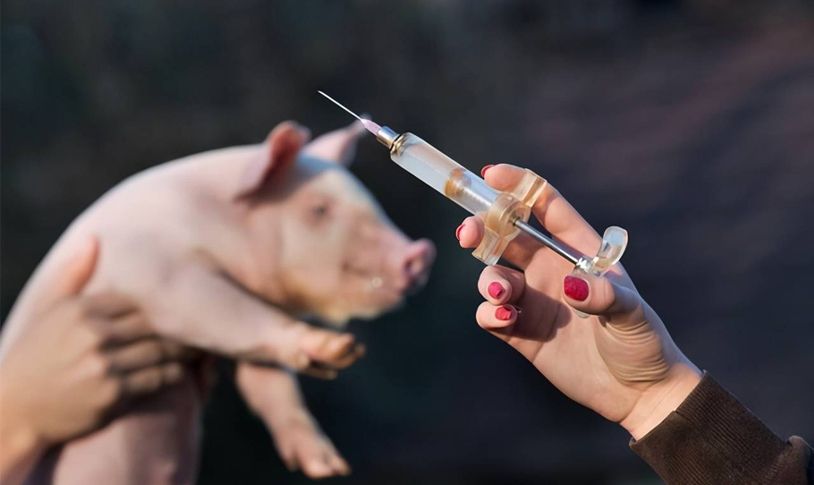 Veterinary Preparations