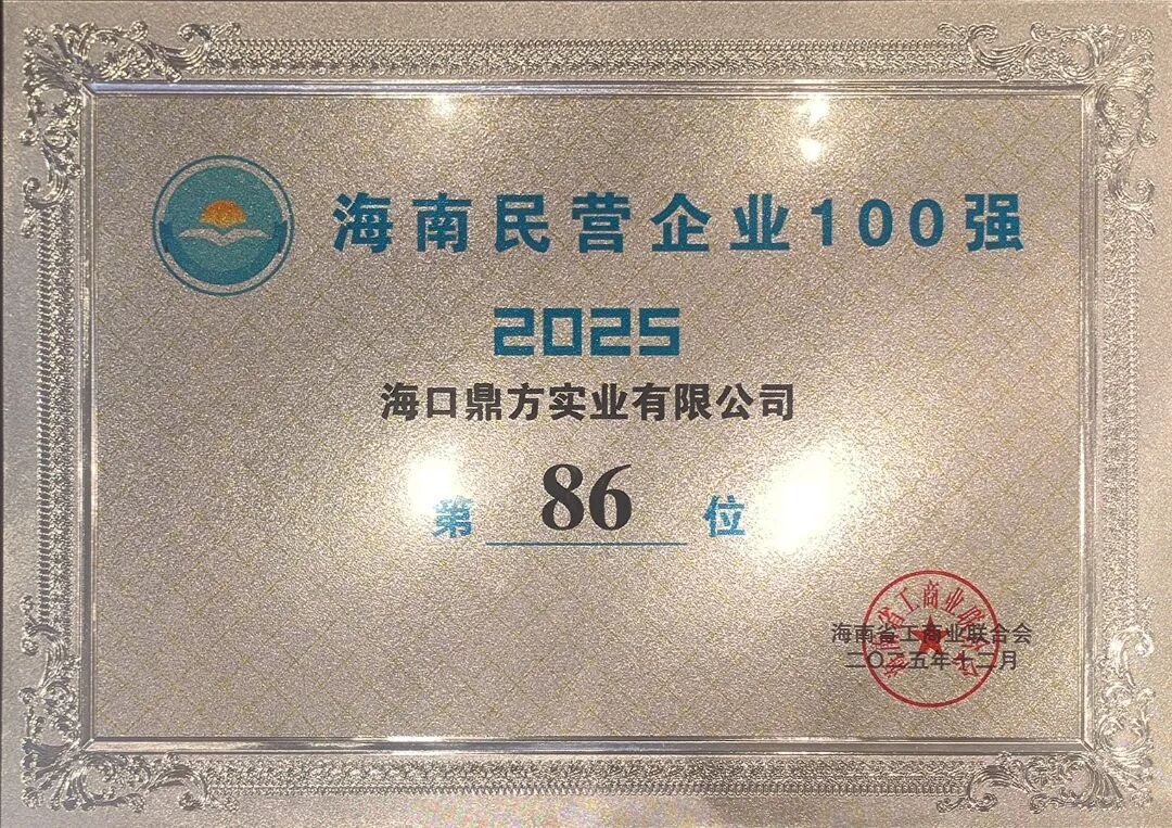 Good News | Dingfang Ranks Among the Top 100 Private Enterprises in Hainan Province