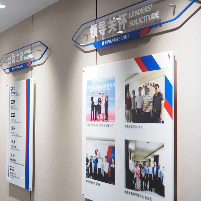 Hainan Dingfang Technology Group Co., Ltd.