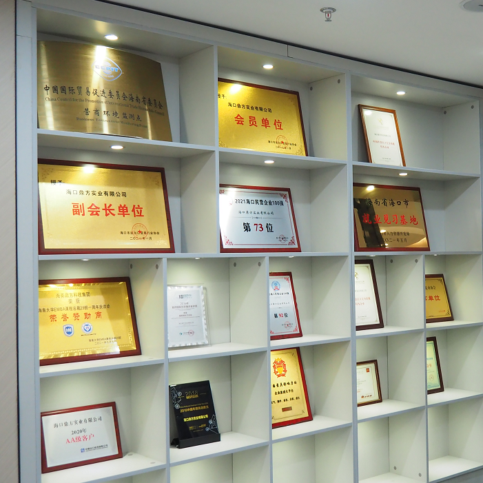 Hainan Dingfang Technology Group Co., Ltd.