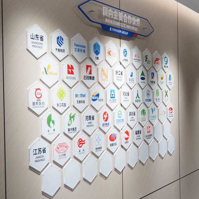 Hainan Dingfang Technology Group Co., Ltd.